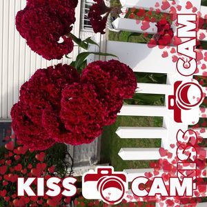 Meet your Posher, Pauline